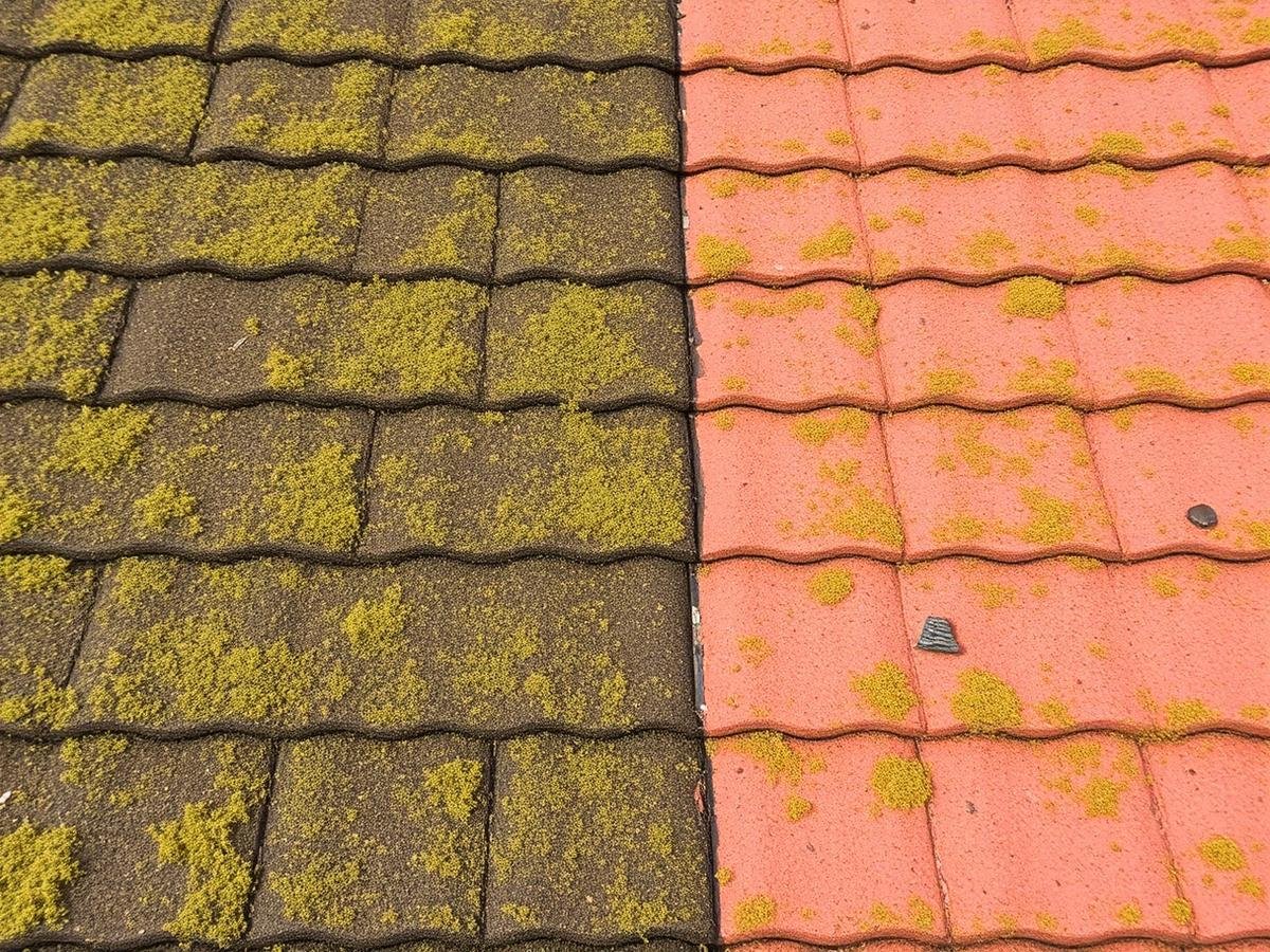 Roof tiles being cleaned
